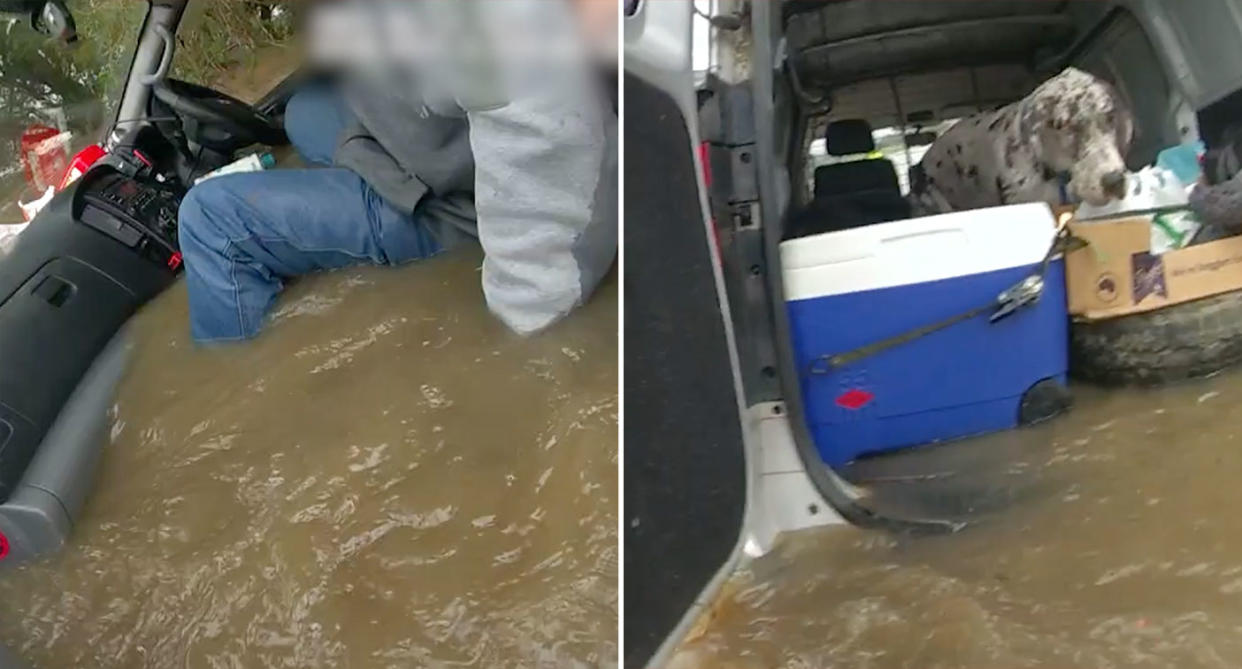 Pictured is the elderly man in the vehicle before being taken to safety and one of the other dogs in the van