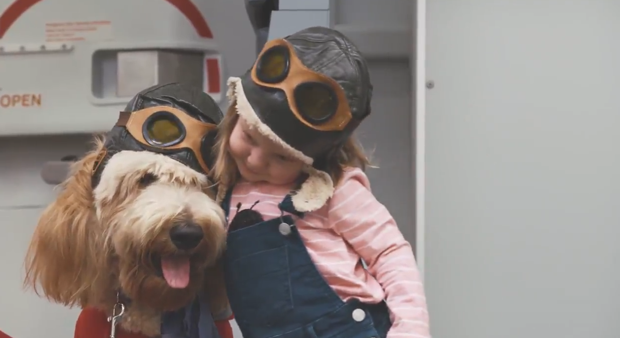 Virgin Australia's new Canine Crew: Twitter/Virgin Australia