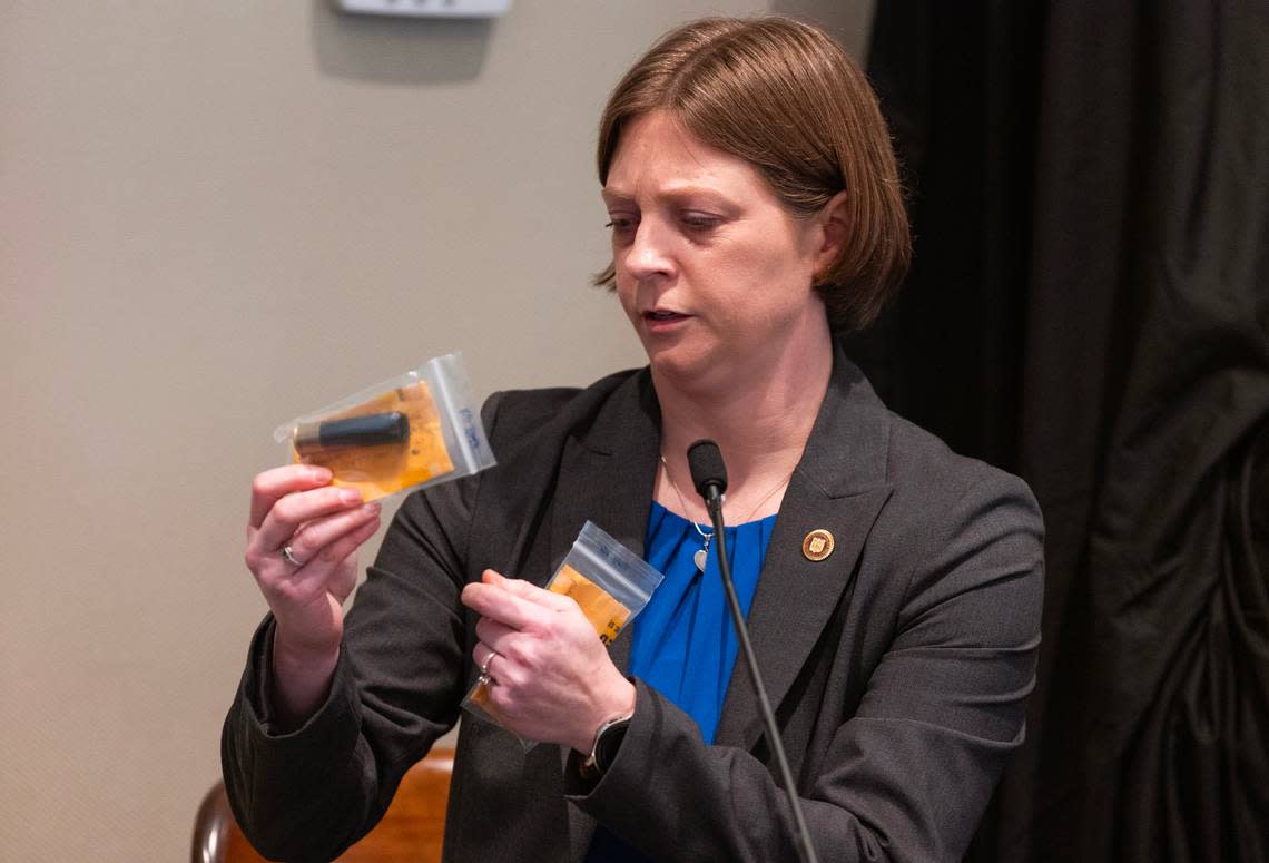 Melinda Worley, SLED foot and tire tread expert, discusses evidence found at the crime scene during Alex Murdaugh’s trial for murder at the Colleton County Courthouse on Friday, January 27, 2023. Joshua Boucher/The State/Pool