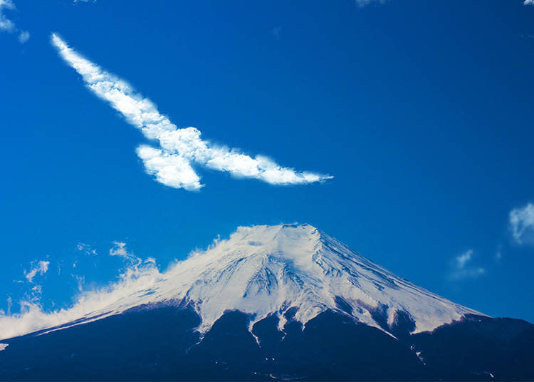 富士山與鷹