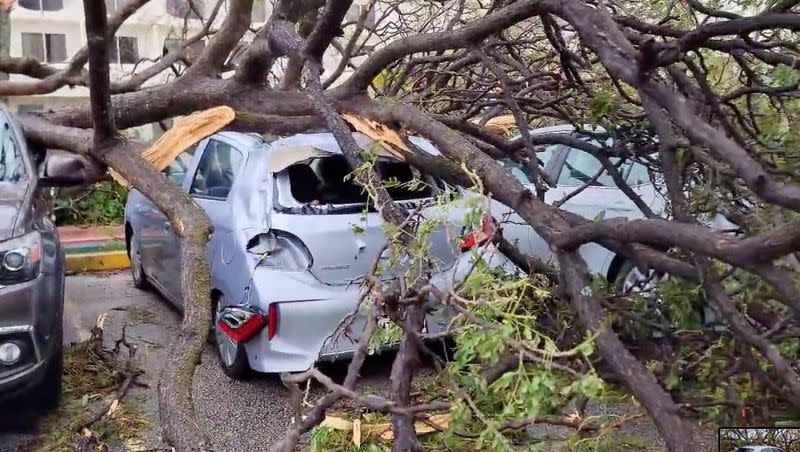 Árboles derribados sobre automóviles, en daños causados por el tifón Mawar en Tamuning, Guam