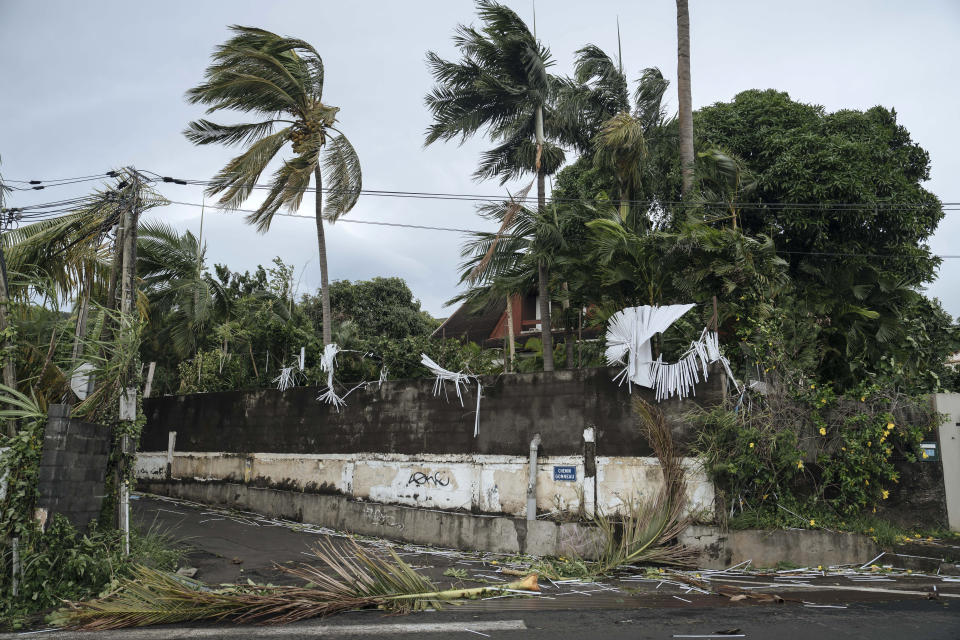 Palm trees lay on the road in the town of La Plaine Saint-Paul on the French Indian Ocean island of Reunion, Monday, Jan. 15, 2024. Authorities urged residents on the French Indian Ocean island of Reunion to shelter indoors Sunday as a powerful storm bore down packing hurricane-force winds and Meteo France warned of winds that could top 250 kph (155 mph) Monday. (AP Photo/Lewis Joly)