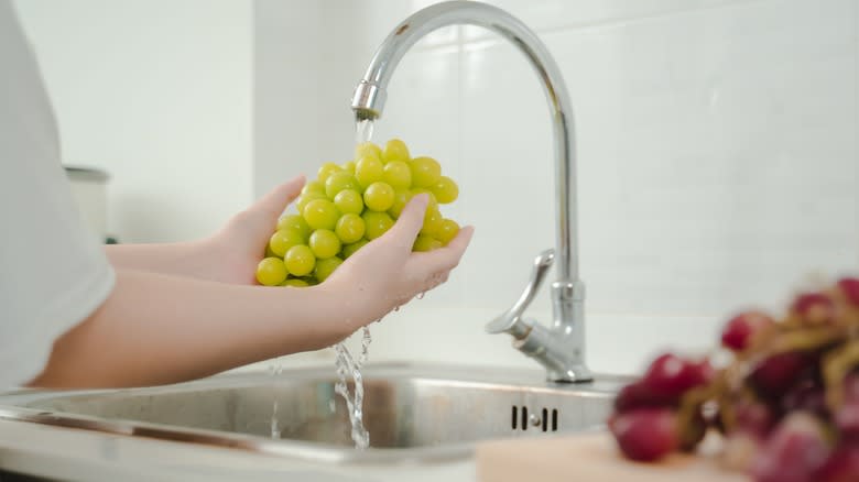 Washing a bunch of grapes at the sink