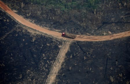 An aerial view of a deforested plot of the Amazon in Boca do Acre