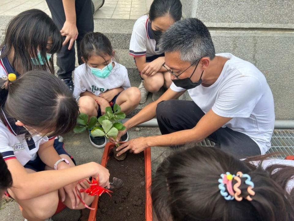 官田國小學生體驗種草莓，直說好想吃到鮮甜的草莓。(記者盧萍珊攝)