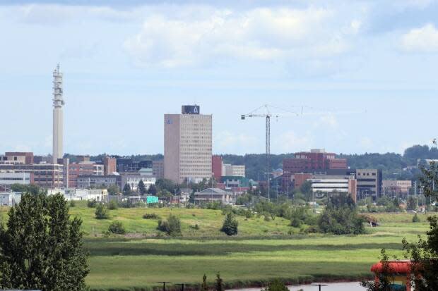 Five candidates running for the federal seat of Moncton-Riverview-Dieppe offer their takes on how they'd solve some of the challenges facing the constituents in the riding ahead of the election on Monday. (Shane Magee/CBC - image credit)