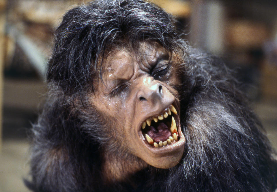 American actor David Naughton on the set of An American Werewolf in London, written and directed by John Landis. (Photo by Universal Pictures/Sunset Boulevard/Corbis via Getty Images)