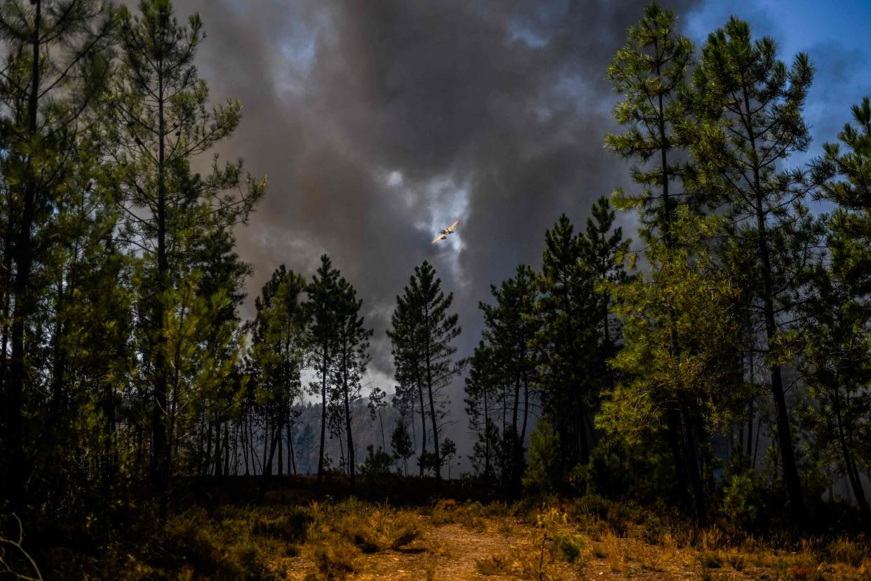 A firefighter airplane flies through the smoke columns of a wildfire in Carrascal, Proenca a Nova (AFP via Getty Images)