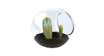 <p><em><a rel="nofollow noopener" href="http://www.selfridges.com/GB/en/cat/tobar-tiny-cactus-mixed-glass-terrarium_324-3003291-28082/" target="_blank" data-ylk="slk:Selfridges;elm:context_link;itc:0;sec:content-canvas" class="link ">Selfridges</a>, £6</em> </p>