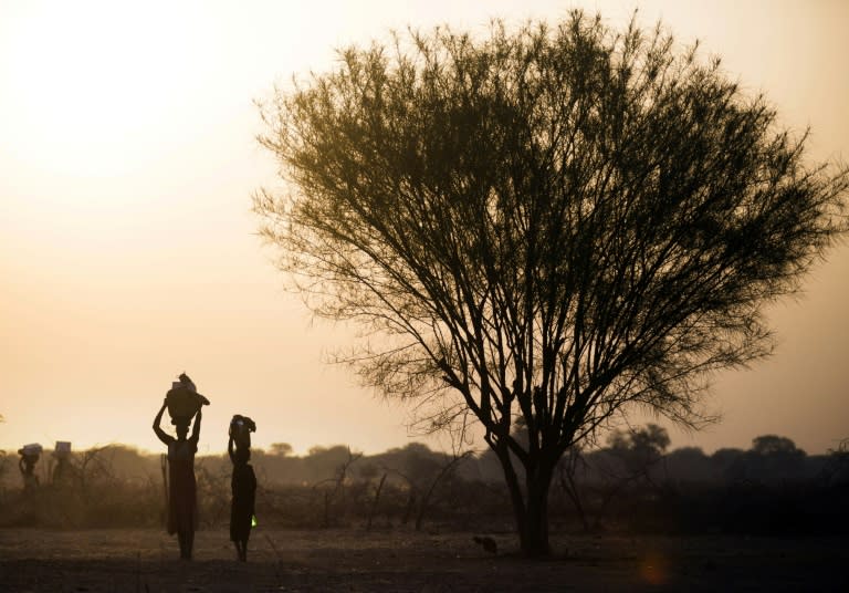 South Sudan's food crisis is the latest in a vicious cycle of hunger blamed on civil war