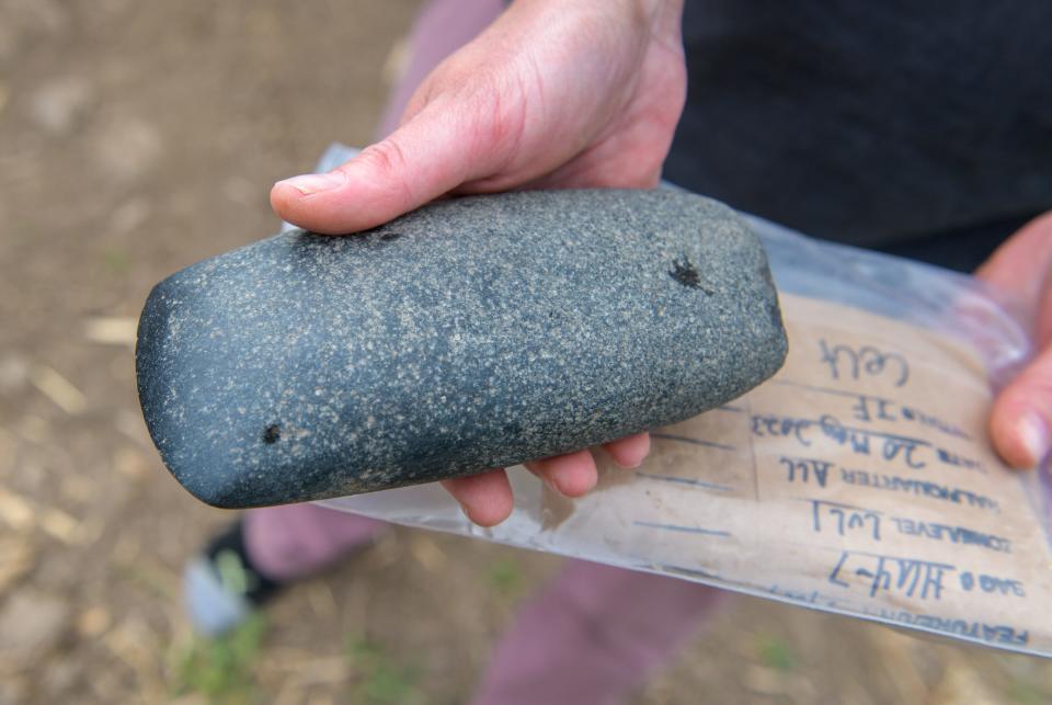 A stone ax head is one of many notable artifacts recently discovered by archaeologists at the site of a Native American settlement that once thrived in the 1300s along the Illinois River in northern Tazewell County.