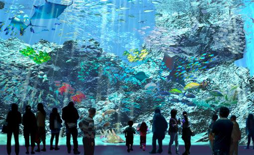 北台灣最美水族館桃園「Xpark」福爾摩沙區示意圖。（圖／翻攝自官網）