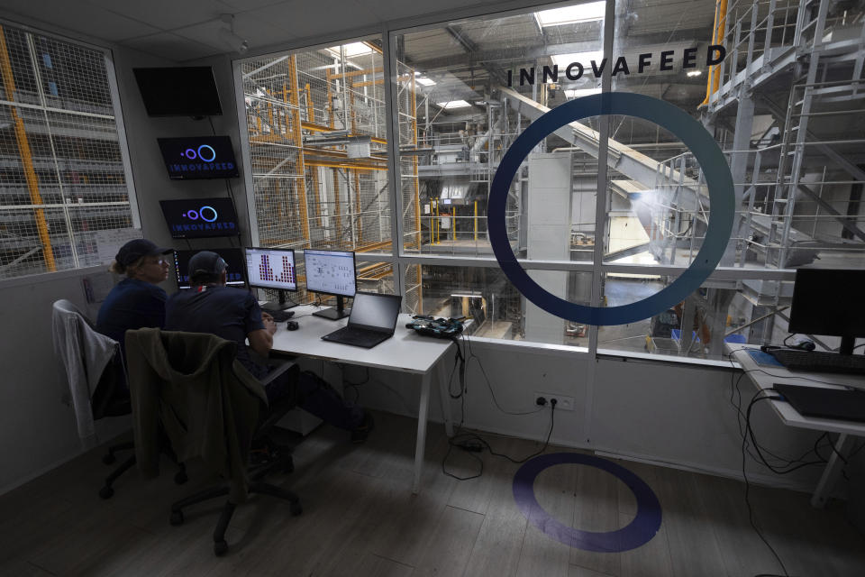 Workers oversee the larvae production site at the Innovafeed factory in Nesle, France, on Tuesday, June 13, 2023. (AP Photo/Aurelien Morissard)