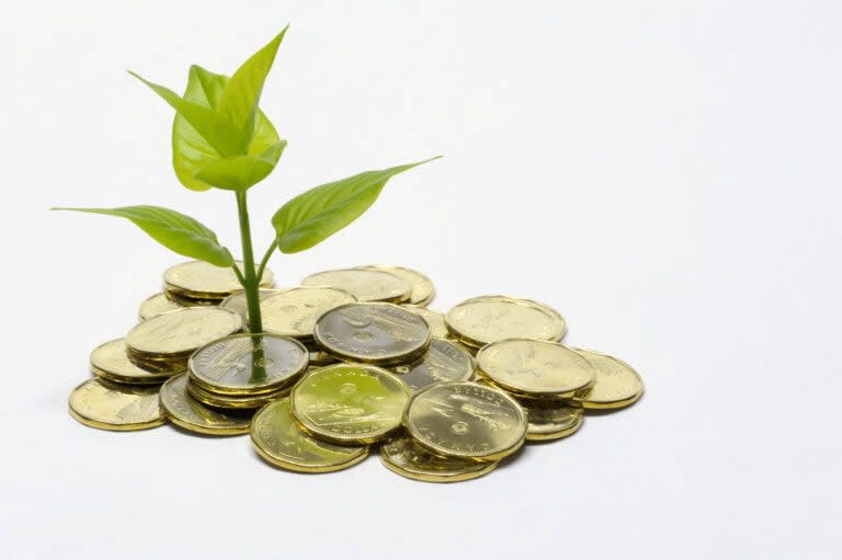 A close up color image of a small green plant sprouting out of a pile of Canadian dollar coins "loonies."