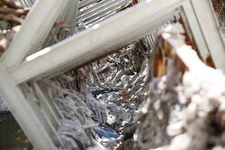 Discarded baby wipes and other garbage that flowed together with sewage are seen on a structure in the Kidron Valley, on the outskirts of Jerusalem July 6, 2017. Picture taken July 6, 2017. REUTERS/Ronen Zvulun