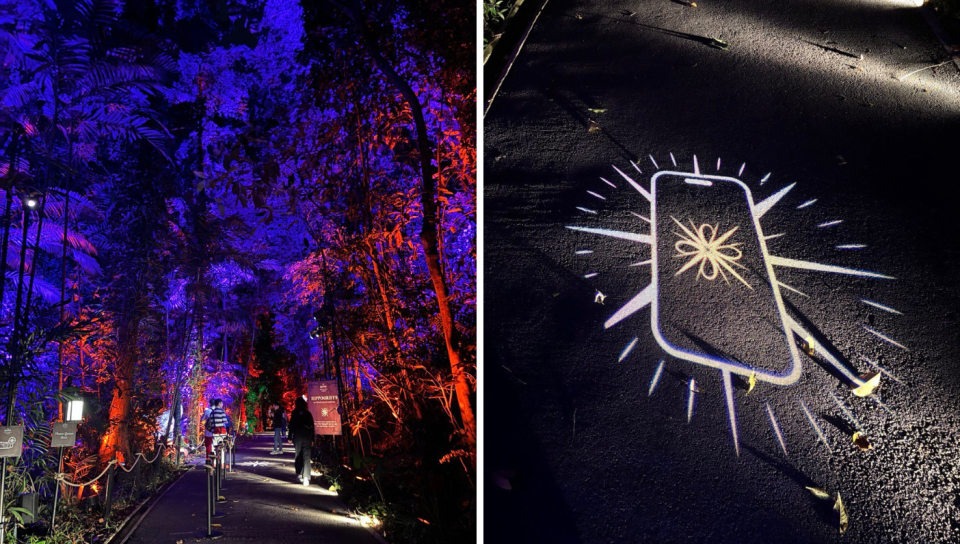 L: The path in the forest. R: The symbols to scan with the app (Photo: Stephanie Zheng)