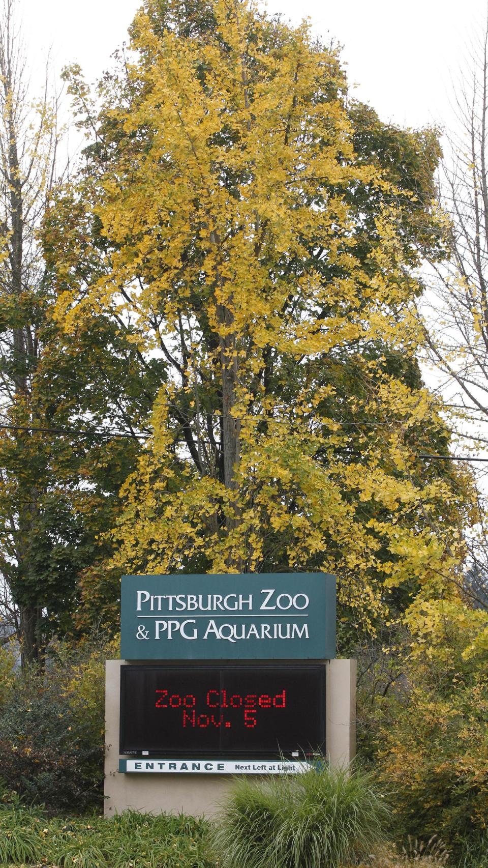 An electronic display sign near the entrance for the Pittsburgh Zoo and PPG Aquarium shows the zoo is closed on Monday, Nov. 5, 2012, in Pittsburgh. Zoo officials said a young boy was killed after he fell into the exhibit that was home to a pack of African painted dogs who pounced on the boy and mauled him on Sunday, Nov. 4, 2012. (AP Photo/Keith Srakocic)