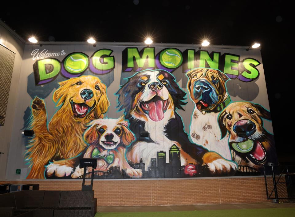 The outdoor play area features a giant dog mural at Paws & Pints at 6218 Willowmere Drive in Des Moines on Saturday, Dec. 16, 2023.