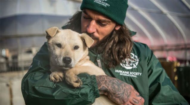 Animal welfare workers saved the dogs. Photo: Humane Society International/UK