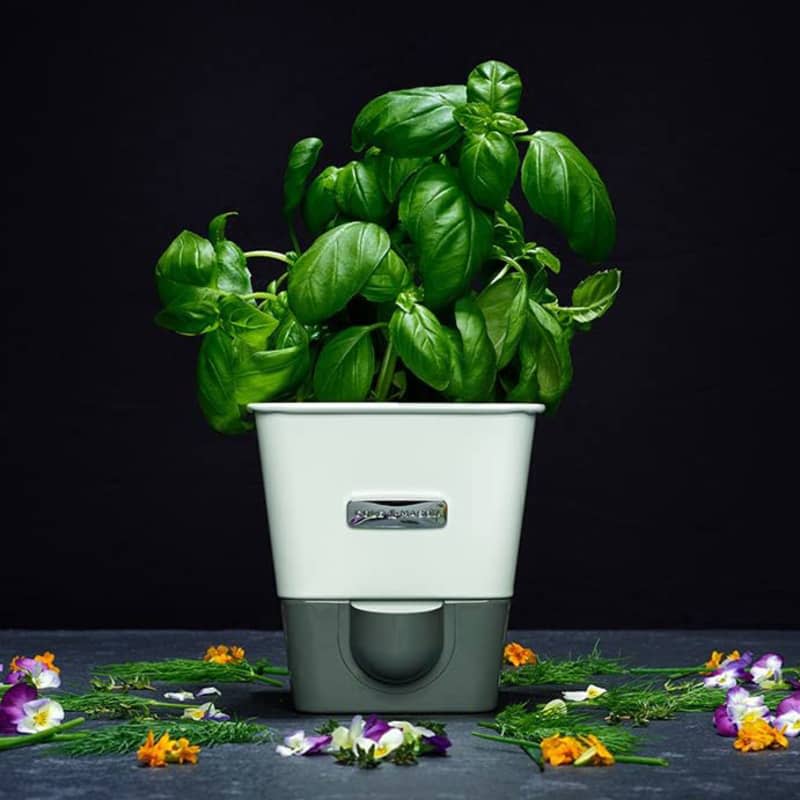 Cole & Mason Self-Watering Potted Herb Keeper