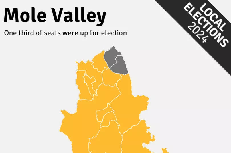 Local Election 2024 results map for Mole Valley