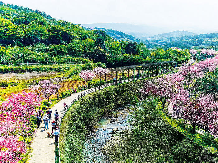 三生步道（圖片來源：新北市綠美化環境景觀處）