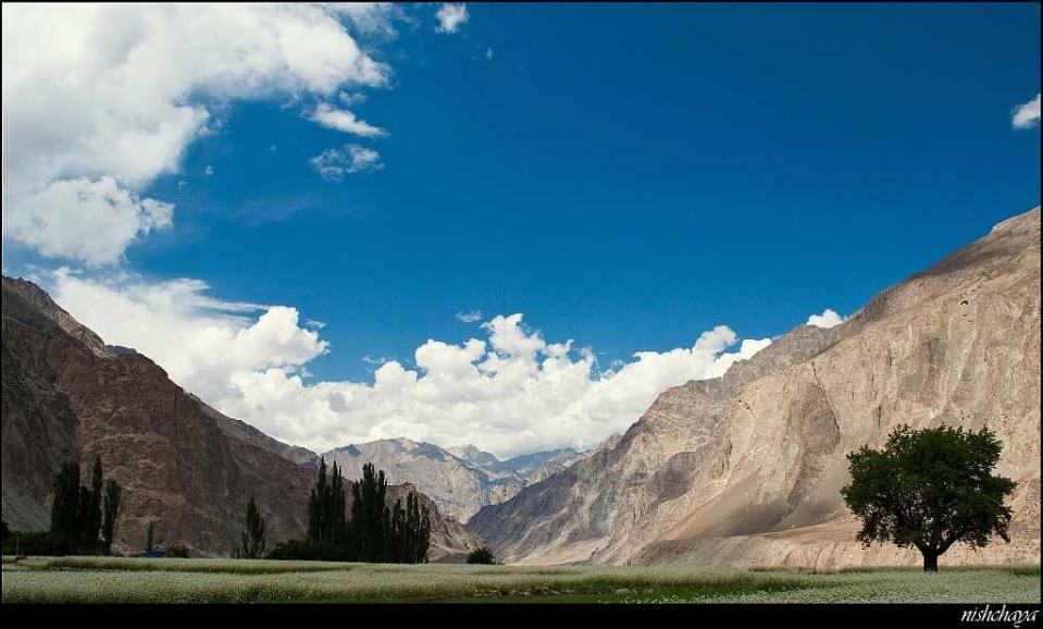 Travel Ladakh Turtuk