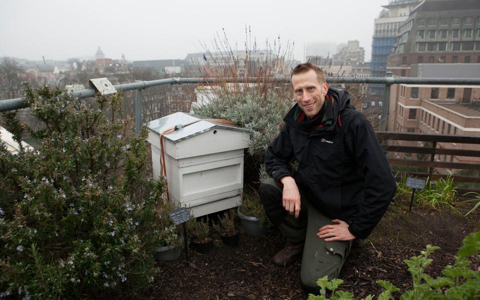 Sky Farmers' founder Sean Gifford at the beehive at BEE Midtown  - Credit: Rii Schroer