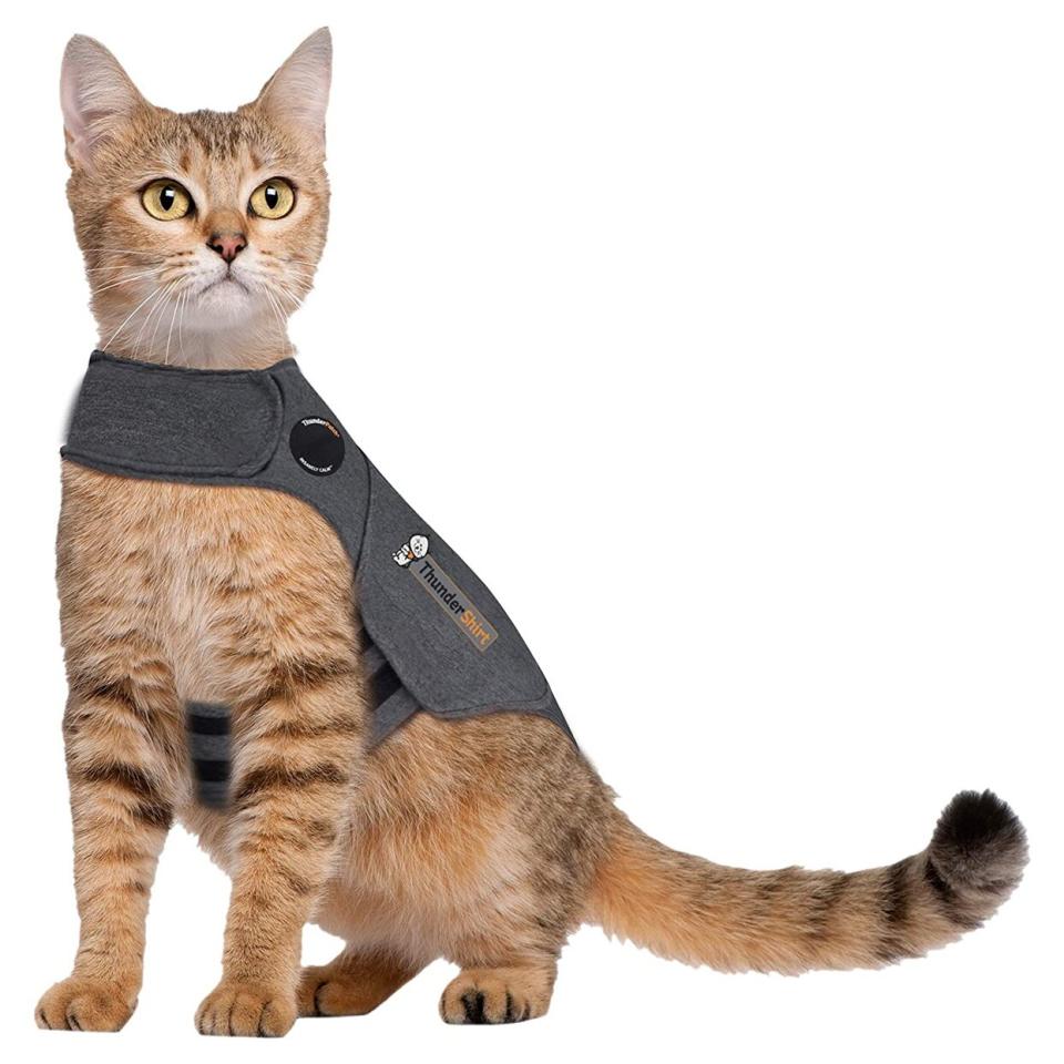 ThunderShirt for Cats