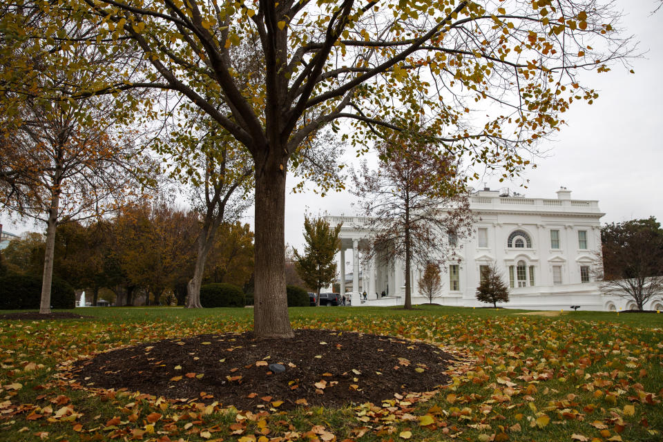 Fall foliage covers the North Lawn of the White House, Wednesday, Nov. 20, 2019, in Washington, as a public impeachment hearing of President Donald Trump's efforts to tie U.S. aid for Ukraine to investigations of his political opponents begins. (AP Photo/Jacquelyn Martin)