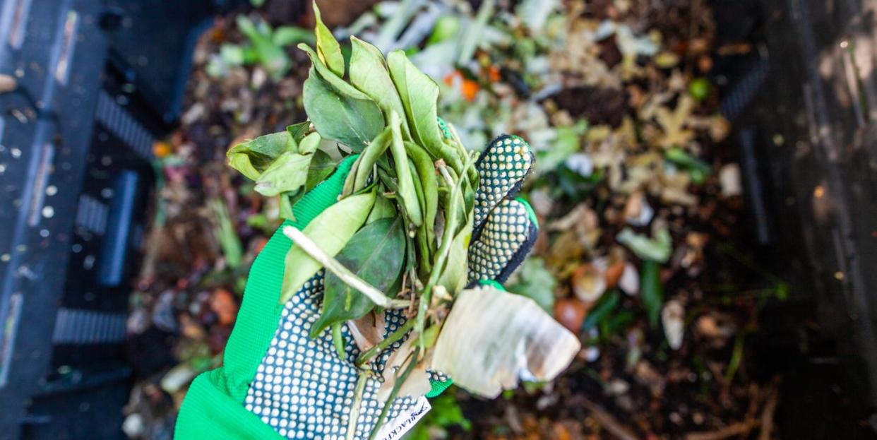 cette photographie présente un compost avec de multiples déchets verts épluchures, coquilles d’œufs