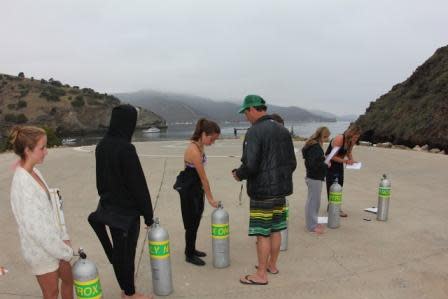 Tucker Oddleifson, James Kennedy, Rachel Margolese and Emily Li 