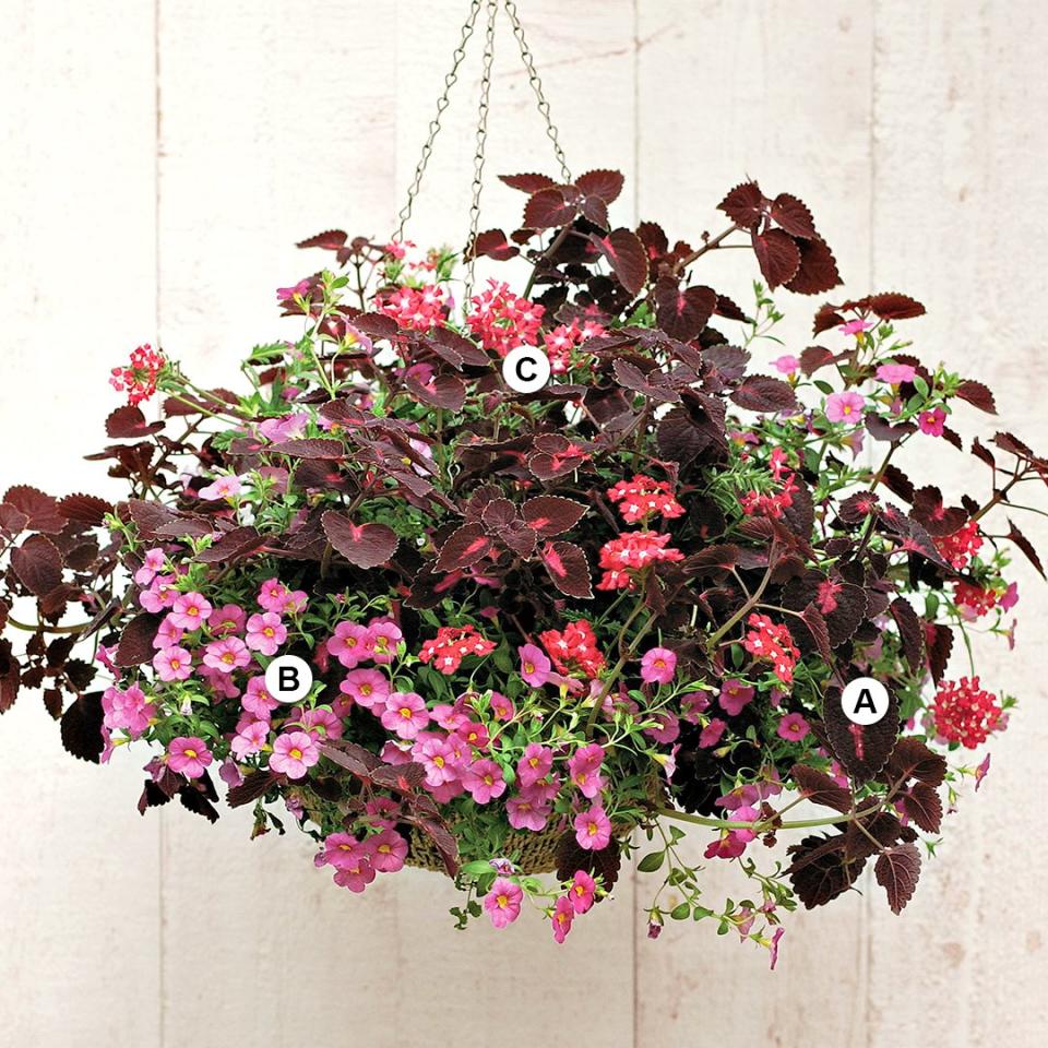 Use these easy plant-by-numbers recipes to put together the most beautiful hanging baskets in your neighborhood.