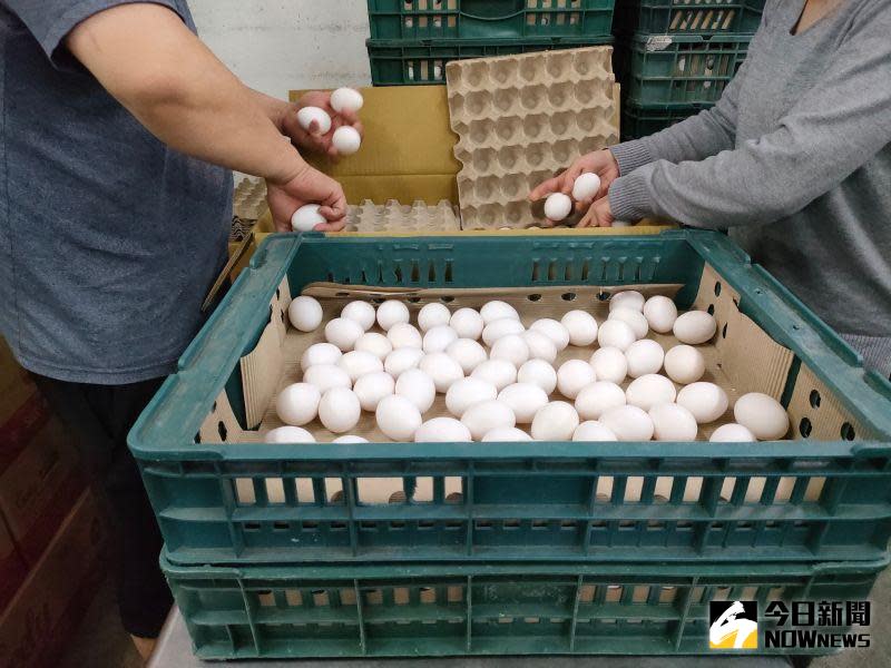 ▲今（5）日北市蛋商業同業公會宣布，明（6）日起雞蛋批發價每台斤再漲3元，每台斤達到55元。（圖／記者許若茵攝）