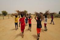 The Wider Image: Senegalese plant circular gardens in Green Wall defence against desert