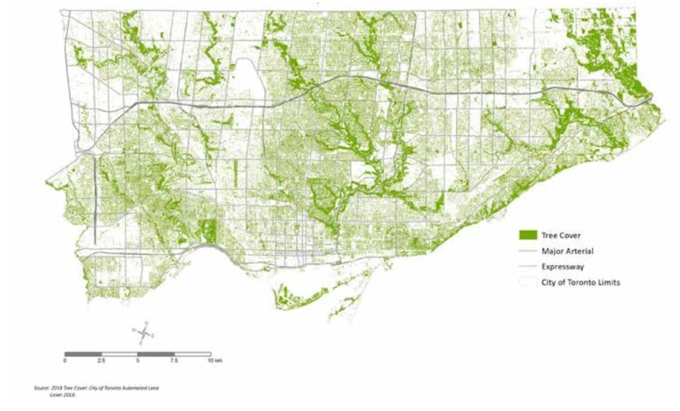 Tree cover distribution in Toronto in 2018. Greenness in Toronto has decreased from 68 per cent in 2001 to 65 per cent in 2019. (City of Toronto), <a href="http://creativecommons.org/licenses/by/4.0/" rel="nofollow noopener" target="_blank" data-ylk="slk:CC BY" class="link ">CC BY</a>