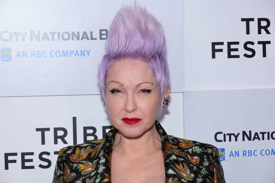 <p>Theo Wargo/Getty Images</p> Cyndi Lauper