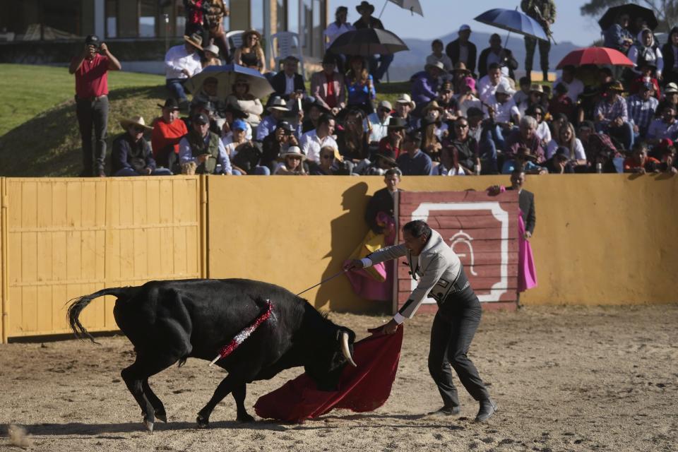 Matador Jelain Fresneda, also known by his bullfighting name Gitanillo de America, dispatches a bull at the Hacienda Vista Hermosa bullring in Villa Pinzón, Colombia, Saturday, Feb. 25, 2023. Commenting on proposed legislation to ban bullfights after the difficult bout and shaking dust off his tight-fitting suit Fresneda said that “Colombia’s art and culture must endure, We need to ensure our freedoms are respected.” (AP Photo/Fernando Vergara)