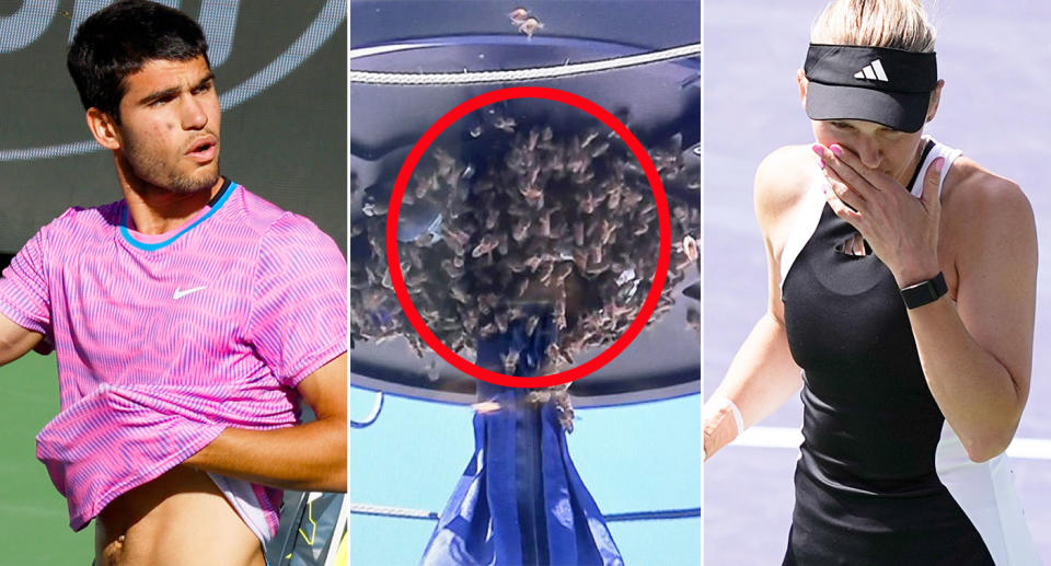 Pictured left to right, Carlos Alcaraz, a bee invasion at Indian Wells and Caroline Wozniacki.