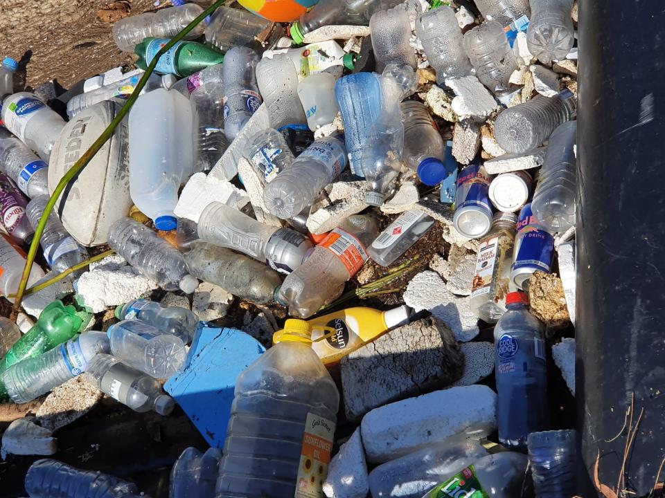 Empty plastic bottles and rubbish is pictured after being pulled from Cooks River, Sydney.