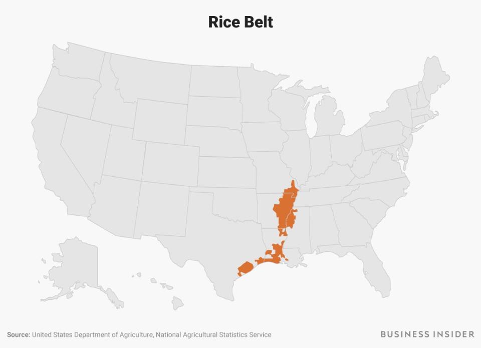 The Rice Belt region is highlighted in orange on a US map.