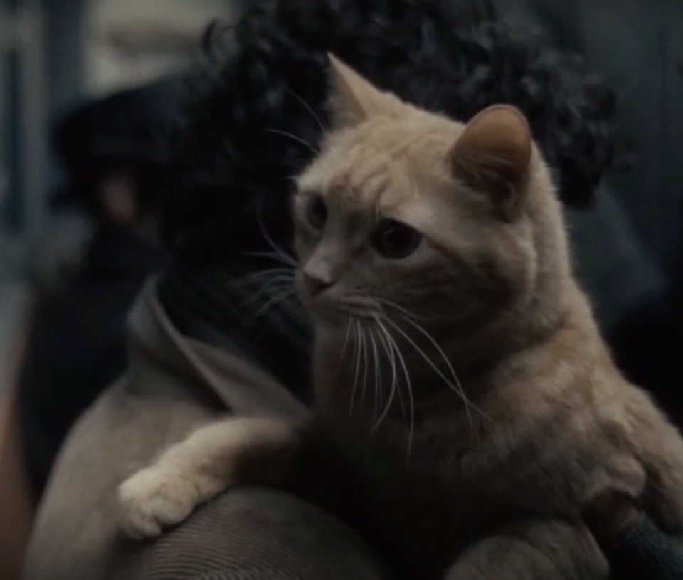 Ulysses From 'Inside Llewyn Davis'