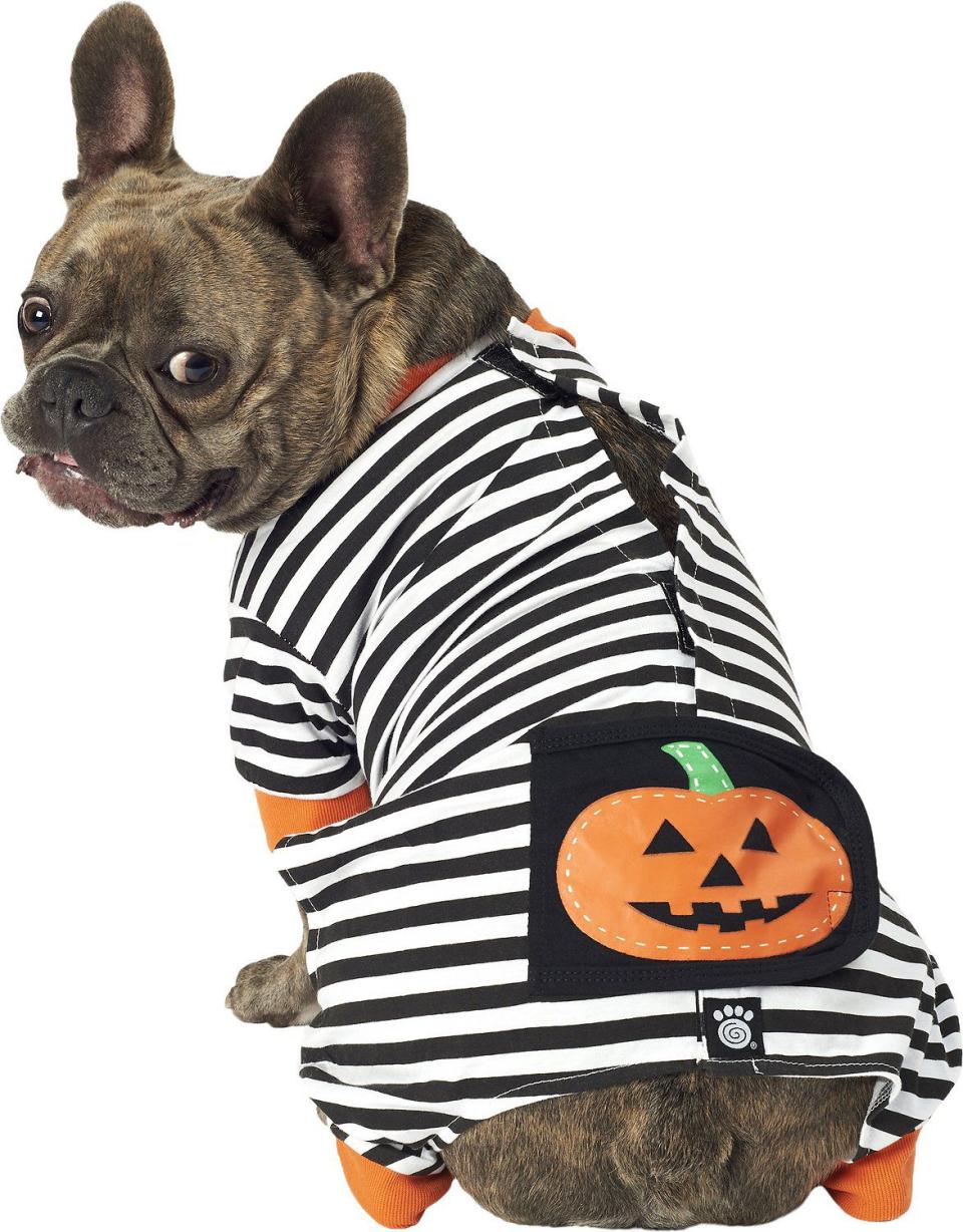 Pumpkin Dog Halloween PJs