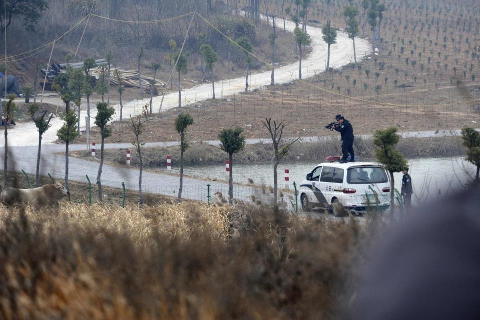 Policemen aim their rifles at a cow, which escaped from a truck, in Liangdun