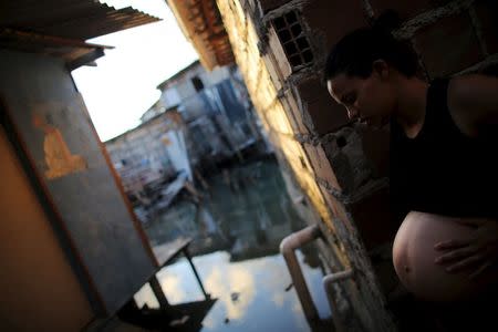 Patricia Araujo, 23, who is seven months pregnant, stands in front of her stilt house, a lake dwelling also known as palafitte or 'Palafito', in Recife, Brazil, February 8, 2016. REUTERS/Nacho Doce