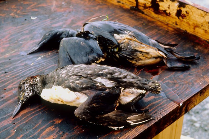 On September 16, 1994, a U.S. federal court jury in Anchorage, Alaska, ordered Exxon to pay $5 billion to the fishermen and natives whose lives were affected by the Exxon Valdez oil spill in 1989. File Photo courtesy of the Exxon Valdez Oil Spill Trustee Council