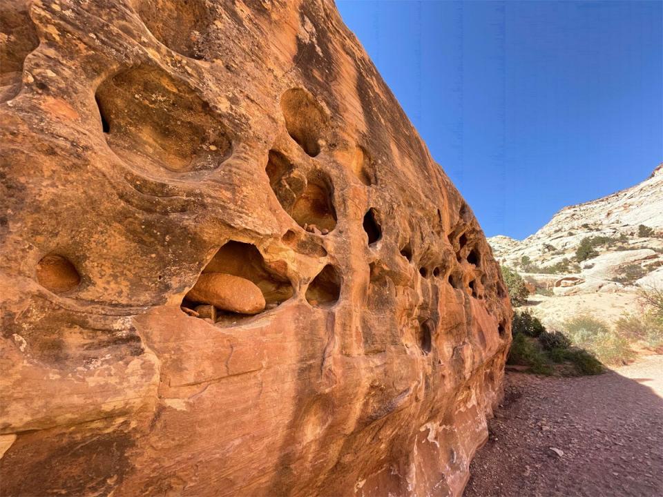 Capitol Reef National Park rock