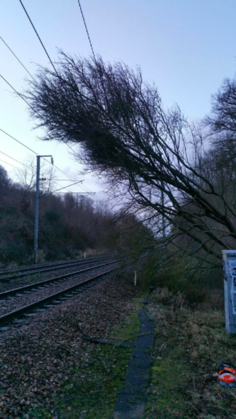 <p>En Alsace, le trafic des trains est totalement interrompu en raison de la chute d’arbres. Seul l’axe Strasbourg-Bâle est encore en service. Les aéroports de Bâle-Mulhouse et de Strasbourg ont suspendu leur trafic mercredi matin, avant de reprendre leur activité à la mi-journée. (Twitter) </p>