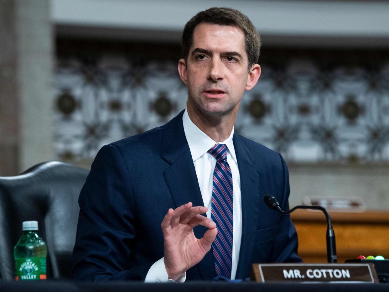 <p>Senator Tom Cotton</p> (AFP via Getty)