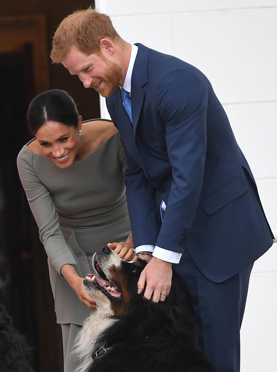 Meghan and harry dog